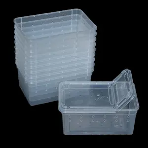 10 PCS Reptile Feeding Box 5.9 x 3.9 x 2.5 in Snake Breeding Box Lizard Cage Habitat Hatching Container Transparent Portable Plastic Cricket Cage for Spider Scorpion Gecko Tortoise Treefrog - Home Improvement.