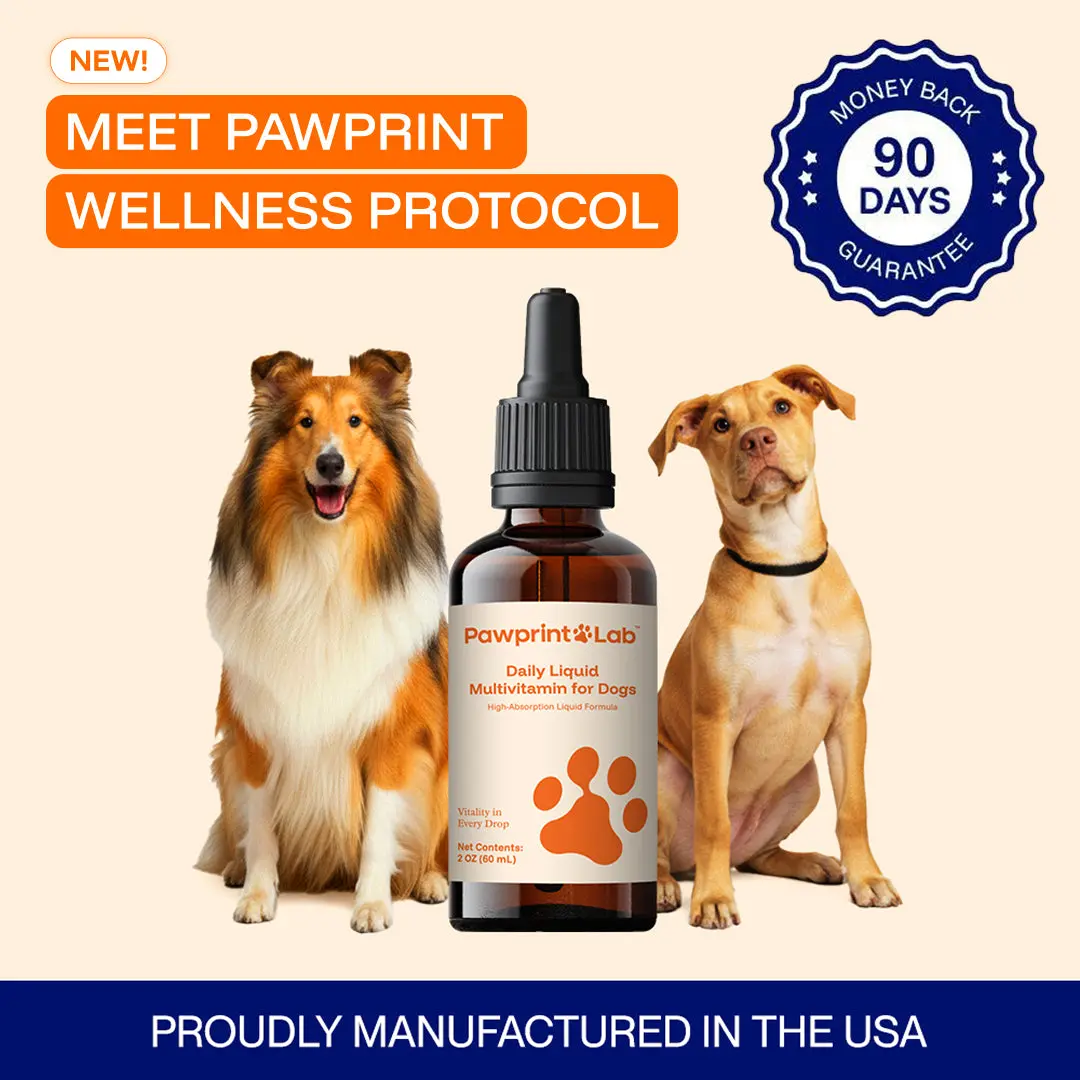 8-in-1 Canine Liquid Vitamins Supplement for Dogs - Joint Care, Enhanced Mobility, Increased Energy, Immune Support, Skin & Coat Support, Easy-Mixing Daily Wellness Drops