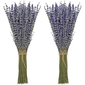 Timoo Lavender Dried Bundle 100 Natural Lavender Dried Flowers Home Decoration, Photo Props, Home Fragrance, 2 Bales