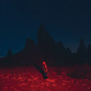 Phoebe Bridgers - Punisher  [COMPACT DISC - CD]