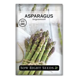 Argenteuil Asparagus Seeds