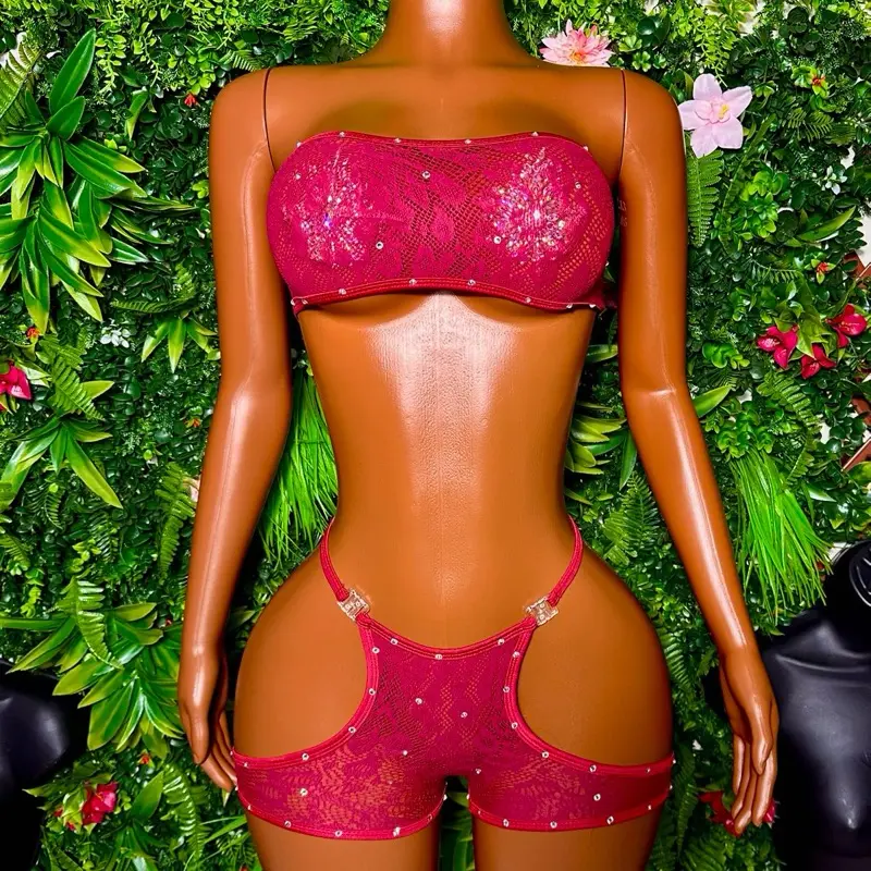 Desire ( Maroon mesh two piece )