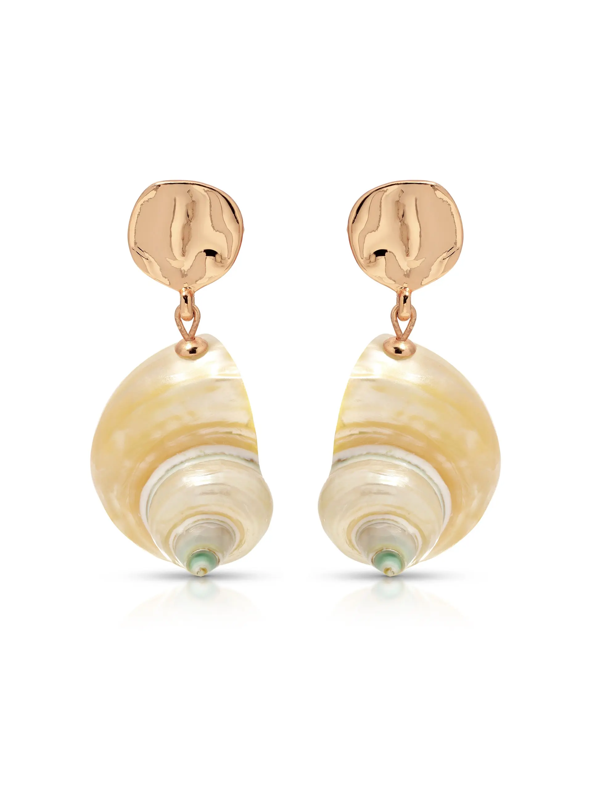 Sunken Treasure Shell Earrings