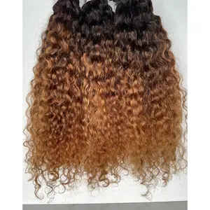 Ombre: Brazilian Curly Bundle Custom Colored