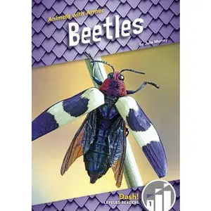 USED-Beetles by Murray, Julie (Paperback)