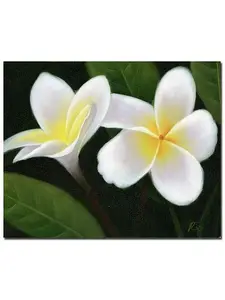Trademark Fine Art Giclee Print - Hawaiian Lei Flowers' Ready to Hang