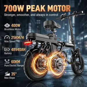 Adult Electric Bicycles 500W Peak Power Foldable with Detachable Batteries 20mph Commuter 48V15AH 60KM Range High-Strength Front Loading Frame Flat Pedals