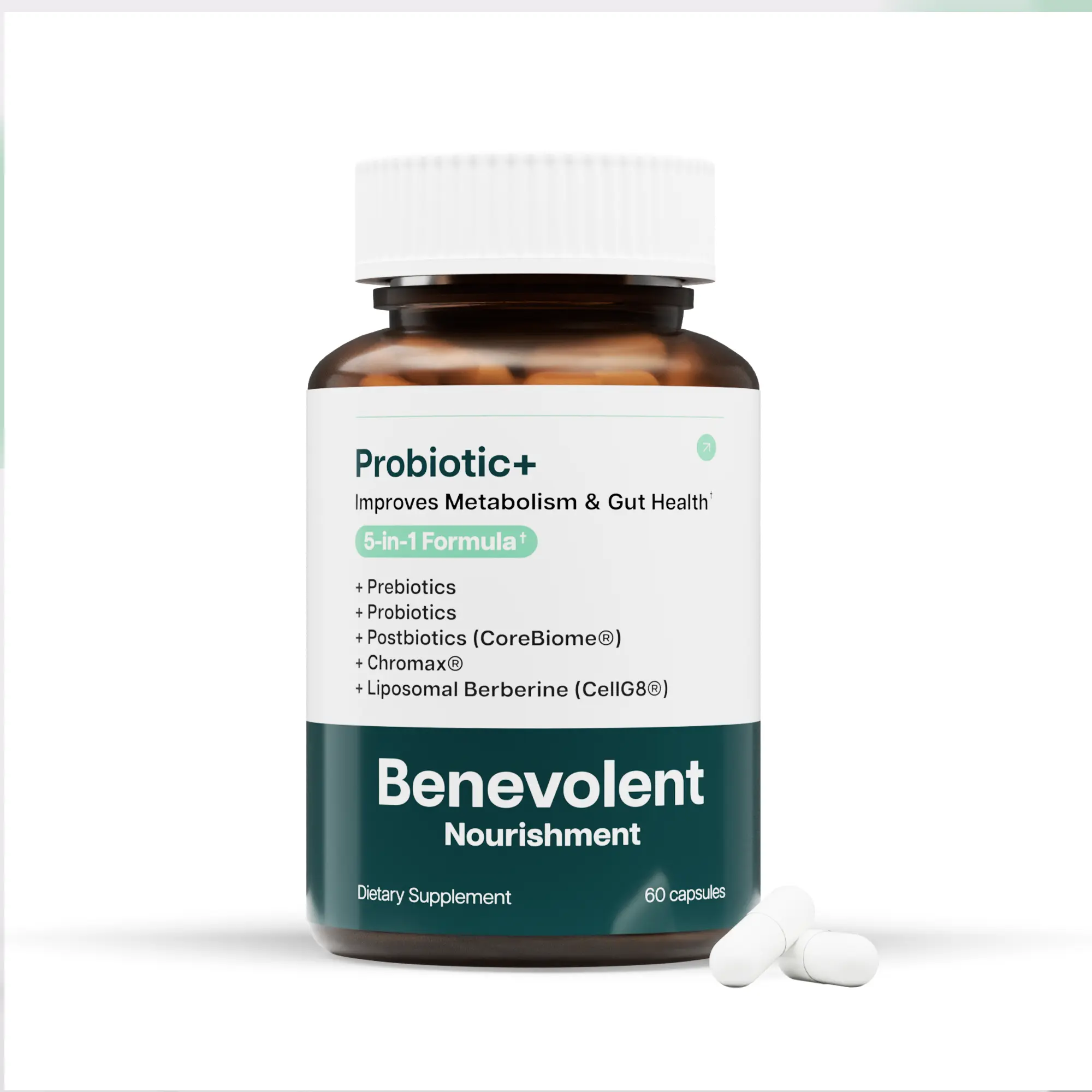 Gut Support Probiotics 60 Veggie Caps 5-in-1 Formula with Prebiotics Probiotics Postbiotics