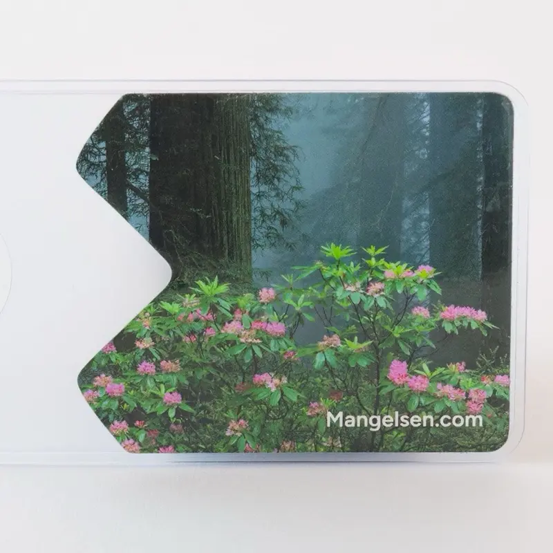 National Park Pass Sleeves by Thomas D Mangelsen- Among the Redwoods