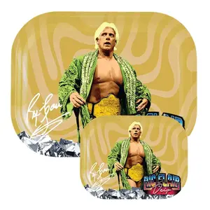 Colorful Wrestler Themed Rectangle Metal Food Plates, 1 Gift Fashion Trendy Multi-Function Dessert Tray, Collectable, Kitchen Accessories Decorative Dining Tray For Home Party Gathering, Rick