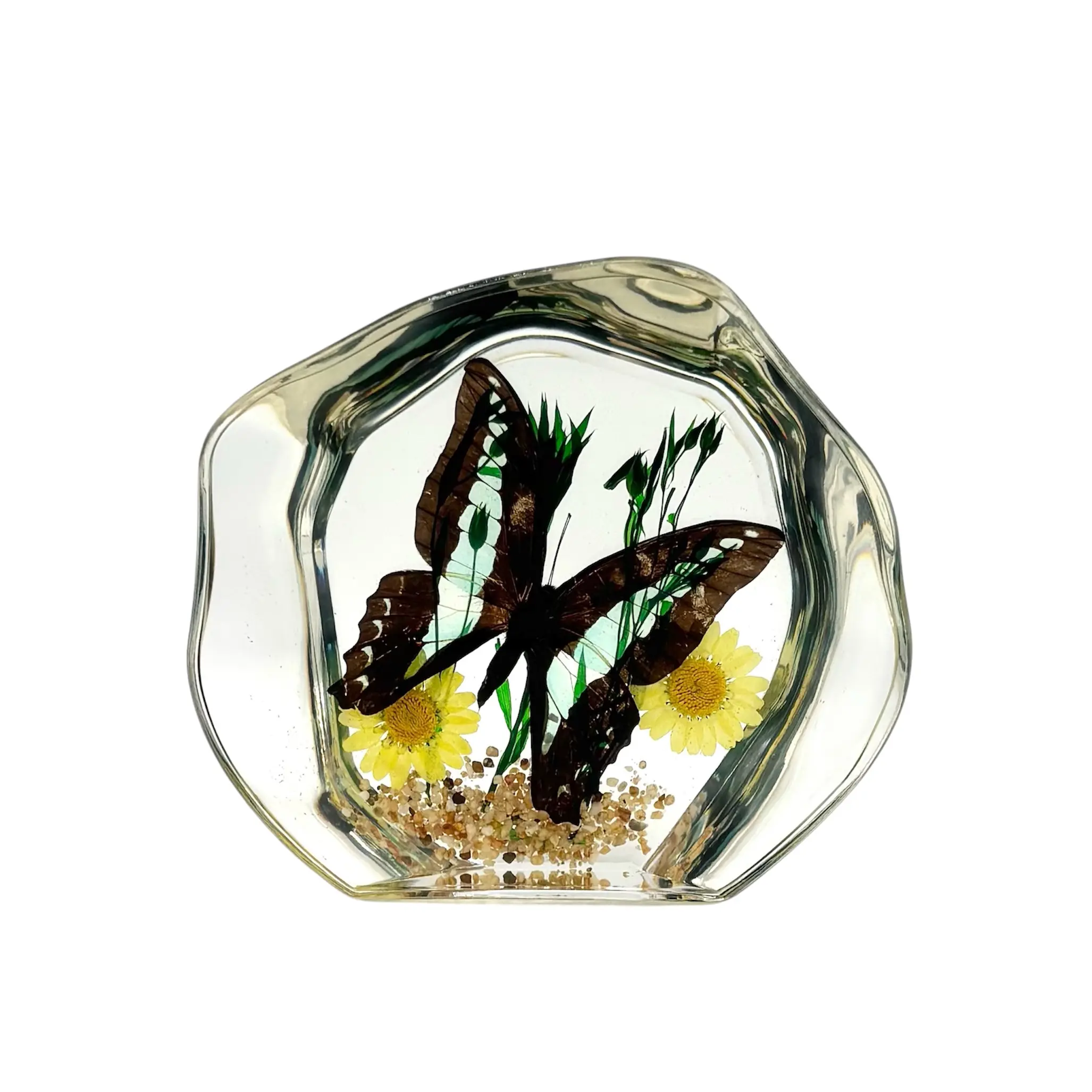 Blue Butterfly Paperweight
