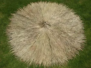 14 Foot Diameter/Round Mexican Palm Thatch Palapa/Tiki Hut Roofing
