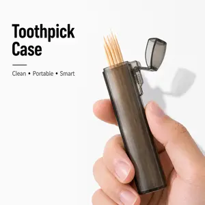 Portable Toothpick Case with Lid, Hygienic Storage Box, Lightweight Travel Toothpick Holder for Daily Use