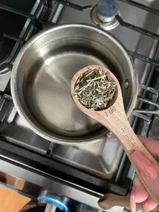 Stonebreaker Tea, Chanca Piedras Te, Organic Natural Beverage