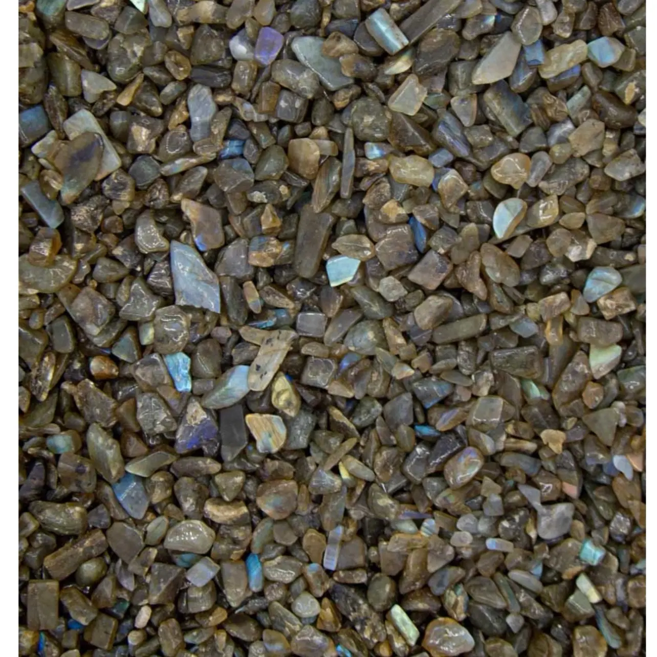 Black labradorite tumbled chips