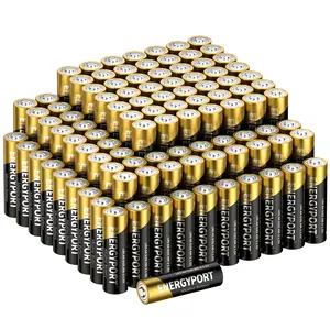 ENERGYPORT 100-Count AA Batteries Alkaline, Maximum Power Super, 1.5 Volt, High-Performance, 10-Year Shelf Life for Home and Office Digital Wireless