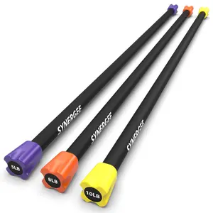 Synergee Weighted Workout Bars