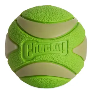 Chuckit! Max Glow Ultra Squeaker Ball