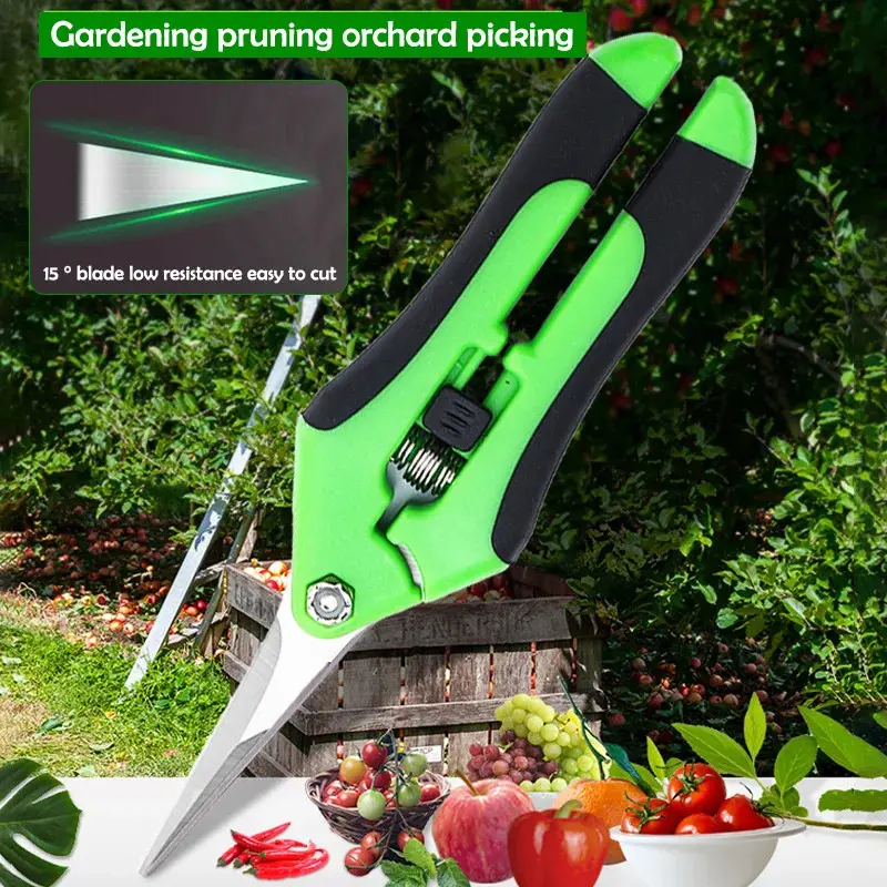 Stainless Steel Pruning Shears Set, Garden Branch Trimming Scissors, Straight Elbow Stainless Blade for Plants, Grape Cutting Tool, Tree Trimmer, Pruners for Gardening