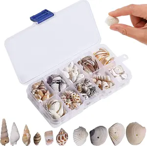 150 Pieces + Mixed Shells,Conch,Natural Shells for Crafts with Hole for Beach Theme Parties,Wedding Decorations,DIY Shell Chain,Candle Making,Aquarium,Vase Fillers