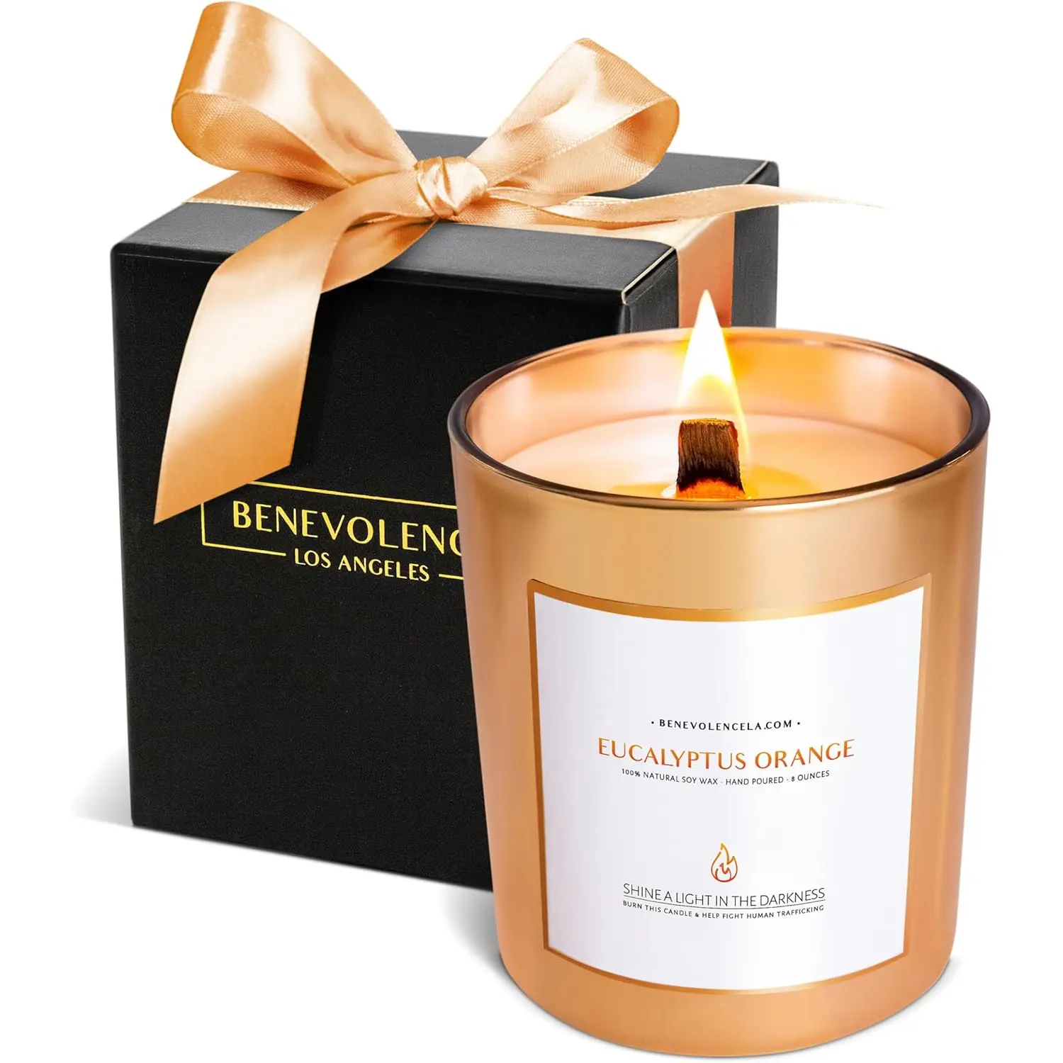 Benevolence Candles Eucalyptus Orange Wood Wick Candles, Soy Scented Candles for Women | 8 Oz Scented Candles for Home Scented | Eucalyptus Candles | Christmas Candles | Men Candles, Bathroom Candle Benevolence LA