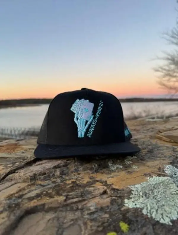 [ BUY 1 GET 1 GIFT HAT] Turquoise Pimpin Black Snapback Cap Bold Embroidered Design Streetwear Hat