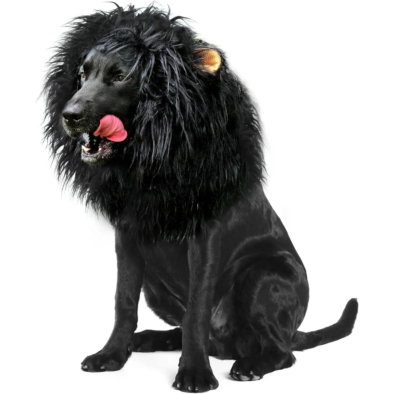 Dog Lion Mane Wig Costume with Ears, Funny Pet Costume for Halloween, Christmas (Size L, Black, Standard Sizes, Universal Fit)
