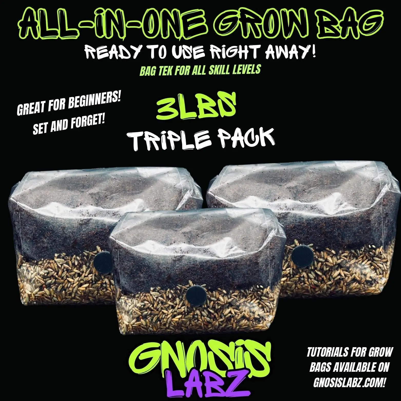 Triple Pack 3 lb All-in-1 Mushroom Grow Bags for Home Gardening, Each Equipped with Injection Port, Filter Patch