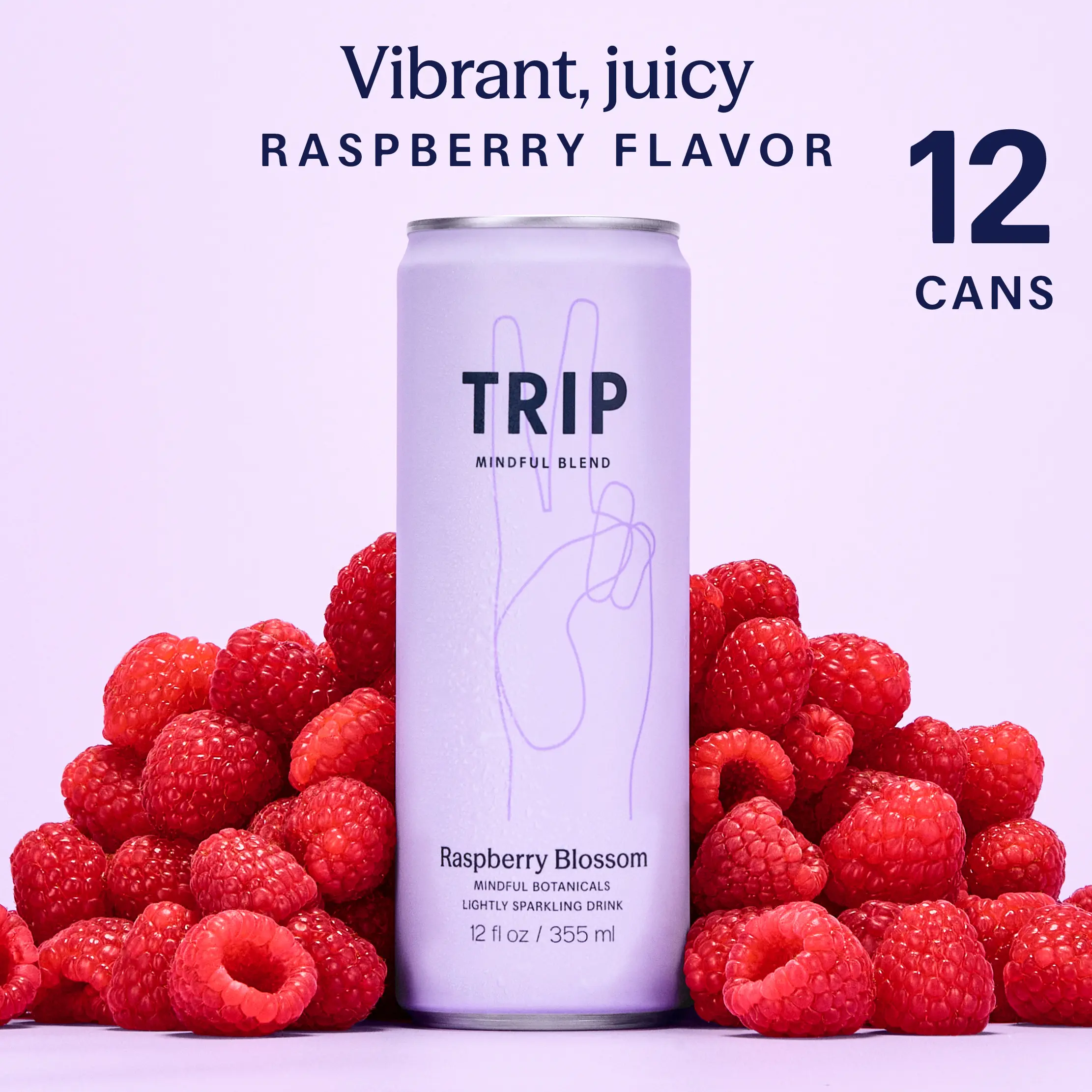 TRIP Raspberry Blossom Sparkling Magnesium Drink — 120mg Magnesium, Ashwagandha, Lion's Mane, L-Theanine, Non-Alcoholic, Low Calorie, Vegan (12-Pack, 12oz)