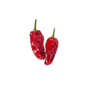 Aleppo Pepper Seeds