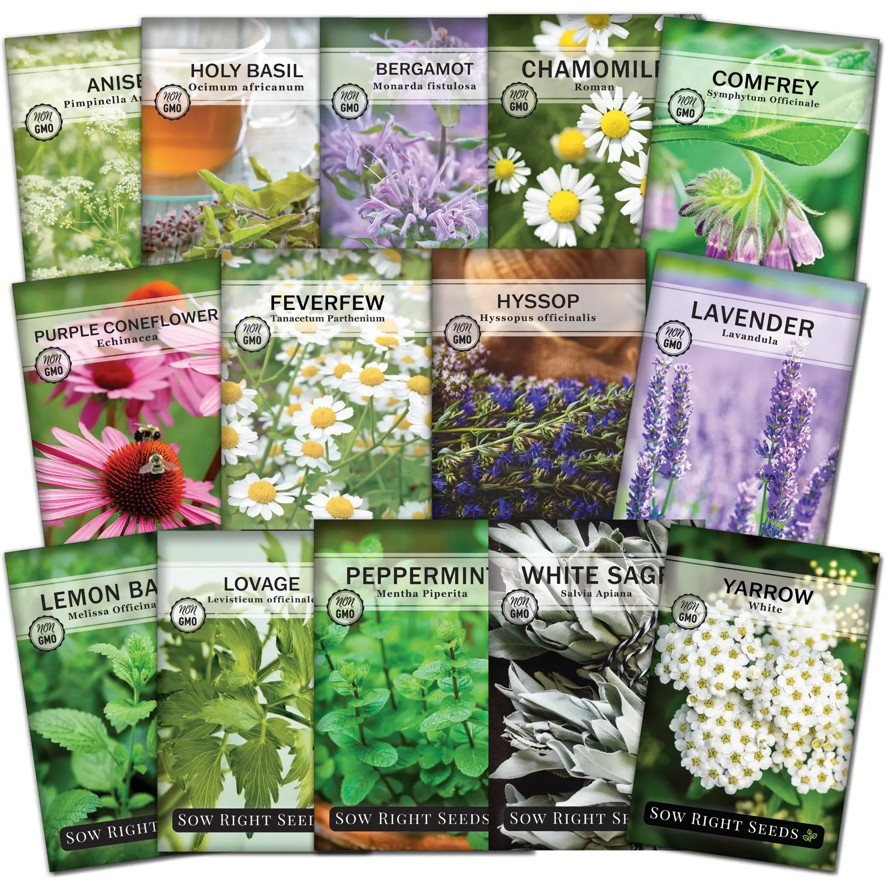 Large Medicinal Herb Collection herb seed