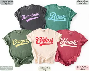 Comfort Colors Personalized Vintage Mascot Spirit Tee Custom School Pride Shirt Retro Team Name Graphic Top Back to School Fan Apparel Gift for Students Coaches Alumni