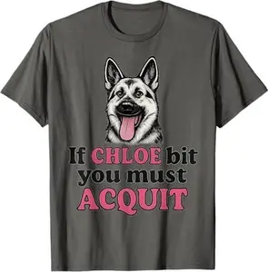 Free Karen Read If Chloe Bit You Must Acquit Free Karen Read T-Shirt