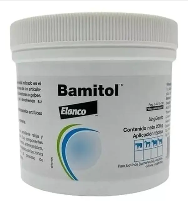 bamitol ointment made in mexico Massage Body Ointment