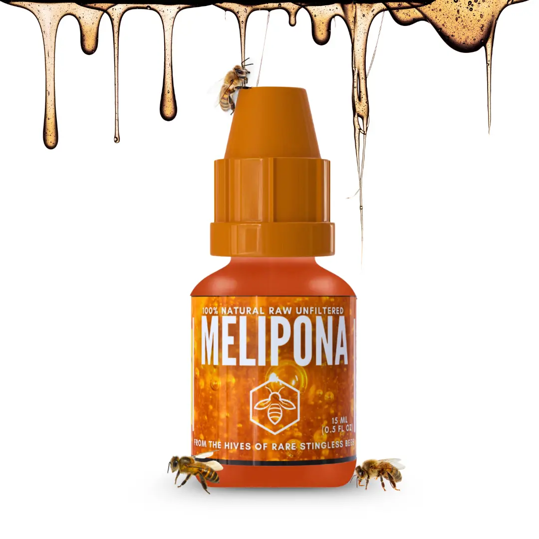 Melipona Stingless Bee Raw Honey 15ml (0.5 Fl Oz) - Jimerito Gotas De Miel - 100% Natural, Authentic Wildcrafted Nectar - Pure from Yucatán, Mexico - Sweet & Tangy Flavor