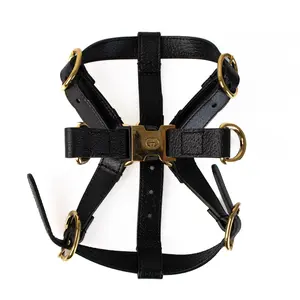 Pre-owned GUCCI Leather Small Leather Goods Black Dog Harness G25034318