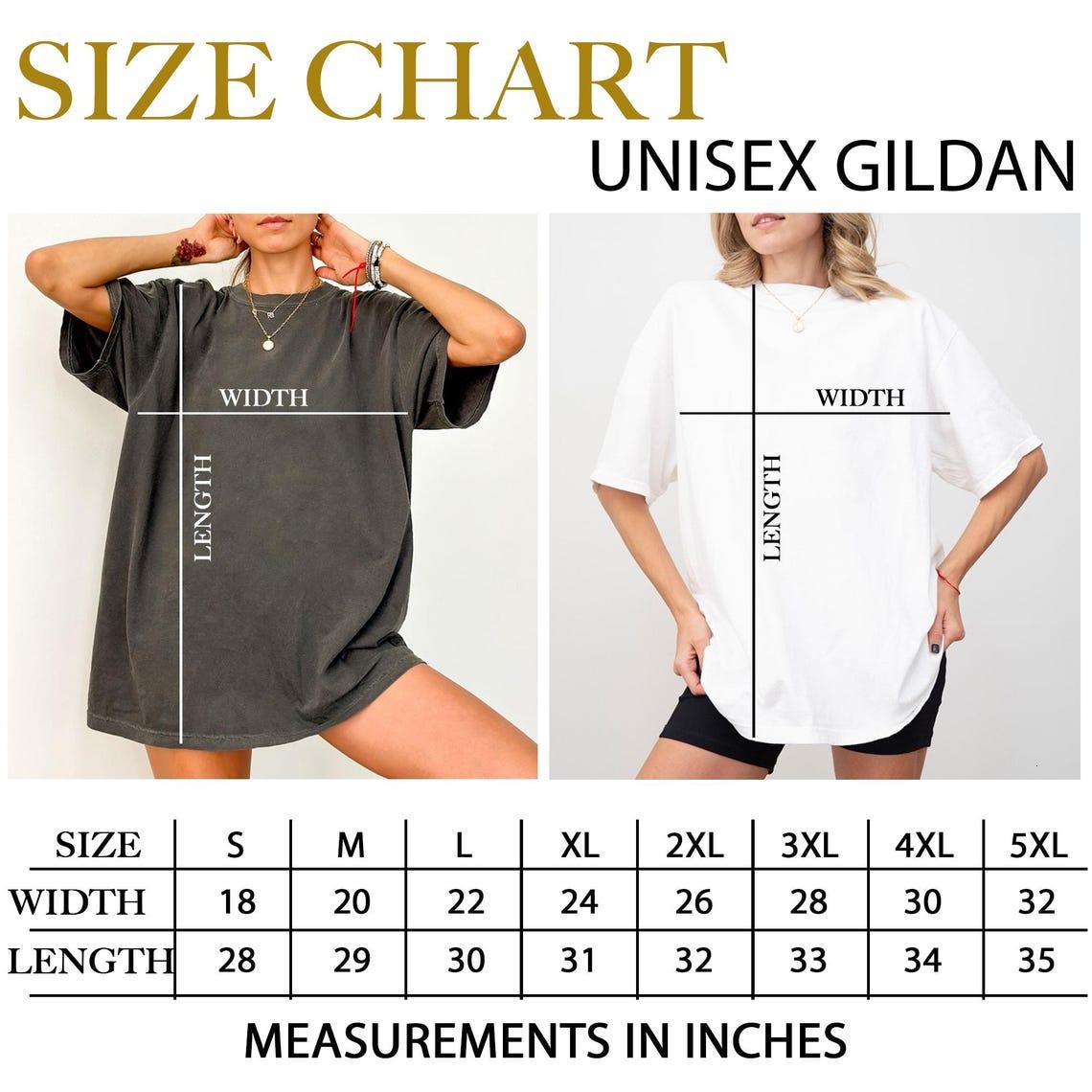 Funny Goose Optometrist Comfort Colors T-Shirt, Goose Ophthalmology Tee, Eye Exam Humor, Animal Doctor Shirt, Veterinarian Gift, Goose