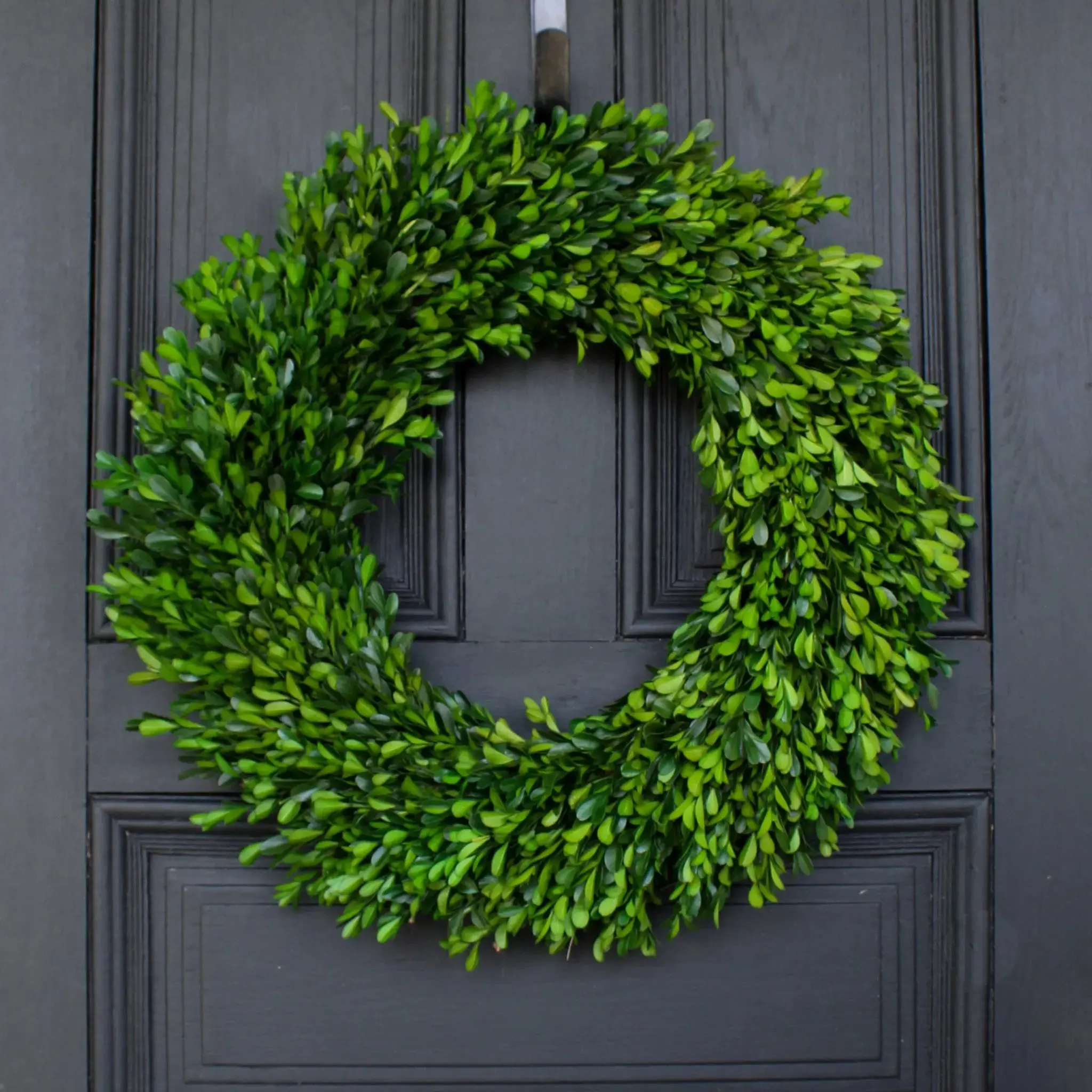 22" Round Natural Preserved Green Boxwood Everyday Wreath with Straw Base - Traditional All-Seasons Home Supplies, Year-Round Home Decoration