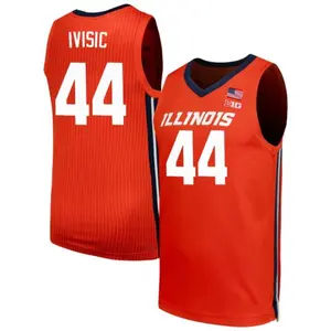 Orange #44 Ivisic Basketball Jersey Illinois Style, Mesh Sleeveless Custom Name Number Jersey, College Game Day Shirt, Sports Fan Gift