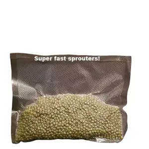 Organic Mung Beans for sprouting, microgreens 5oz over 2k seeds