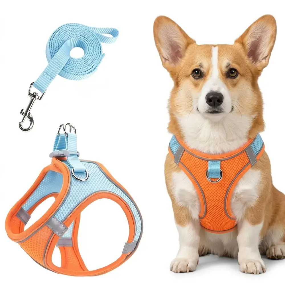 Dog Basic Halter Harness and  Set - 3-Sec Quick Fit, No-Pull Breathable Mesh Vest, Anti-Escape  Lock, Reflective  Night Walks, Adjustable  Small-Medium Dogs length pet   led retractable puppy service girl boy medium-sized strip perfect outdoor bark collar