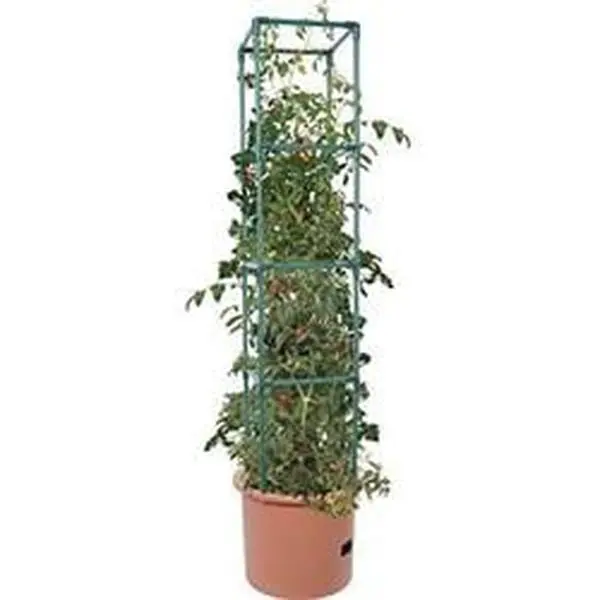 Hydrofarm Tomato Barrel with Tower - 3.05 lbs Brilliant Designs Hydroponic Growing System, Indoor Personal Use Plant Care & Tower Support Solution