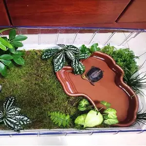 Extra-Large Reptile Bathing Basin Reptile Feeding Tray Water Bowl with Ramp Aquarium Decor Suitable for Geckos, Snakes, Turtles, Bearded Dragons, and Lizards Bathing