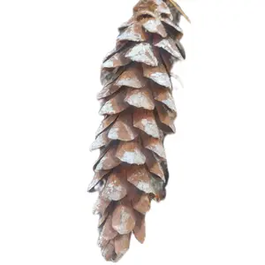 Pinecones Natural for Christmas Decorations and Ornaments DIY Projects NatureInspired Home Accents Outdoors EcoFriendly Versatile for Festive Elegance