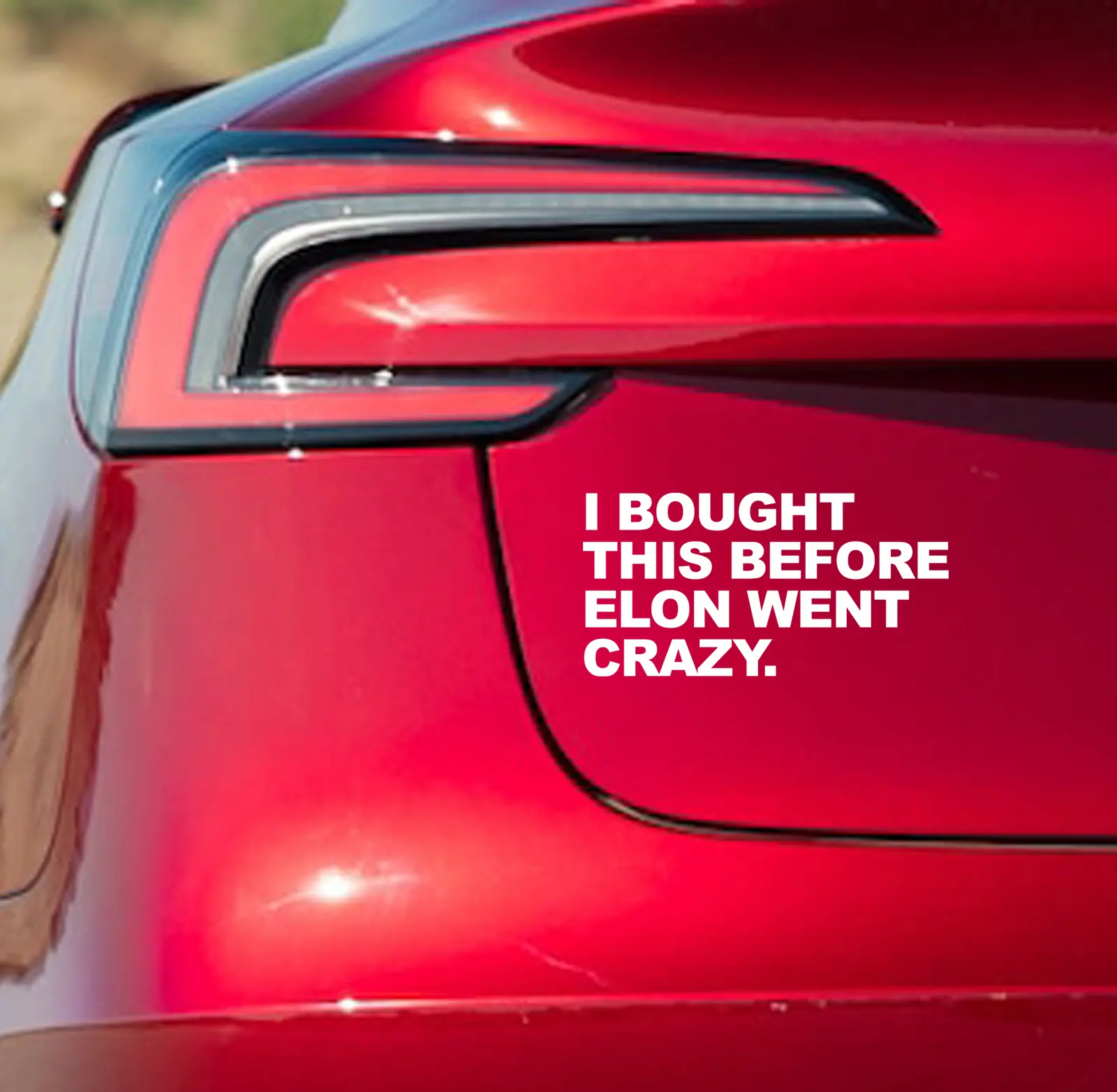 I bought this before Elon went crazy/Anti Elon Vinyl Cut Sticker/sticker/car truck decal/gift/made in USA