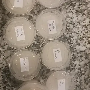homeade sugar scrubs      Body Care.       Cleansing.              Skin Care