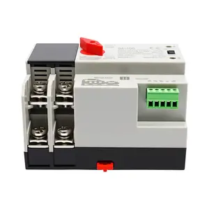 100A 2P 220V AC Dual Power Transfer Switch for Home Backup Generator, UPS, DIN Rail Mount, Automatic Changeover with Manual Operation