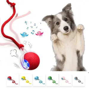 Pet Companion Fun Toy, Interactive USB Rechargeable Rolling Ball Toy, Built-in Bird Chirping, Suitable for Rug & Floor Play, Anti-Depression Gift for Cats and Dogs