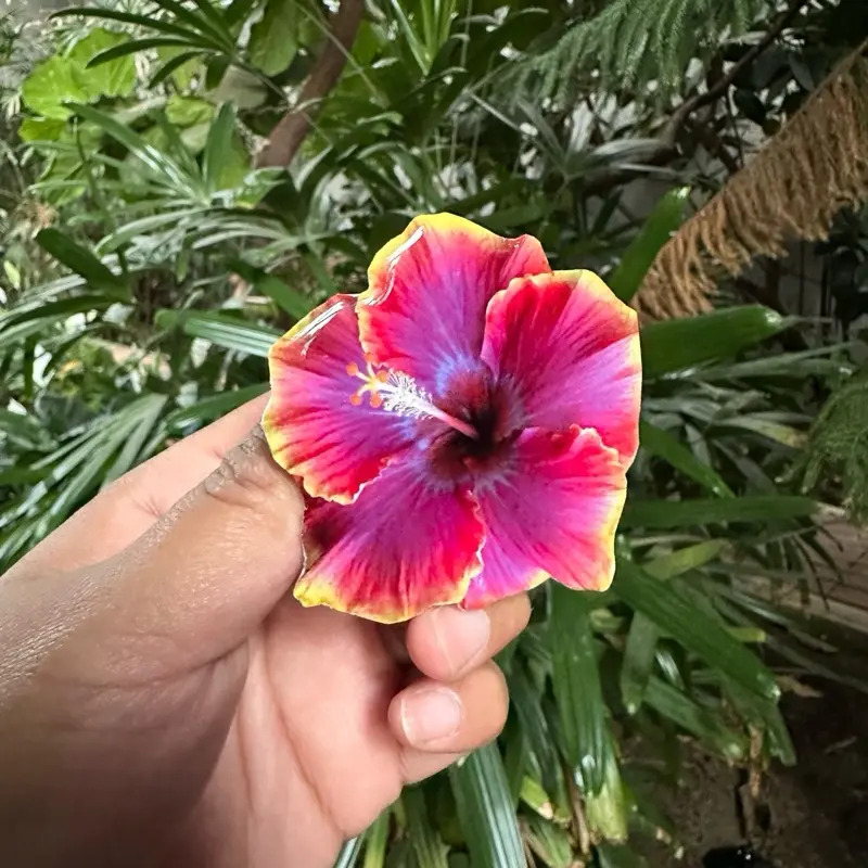 EV Flower Phone Grip EV Flower Phone Grip