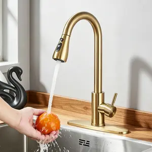 Modern Kitchen Faucets with Pull Down Sprayer, Brushed Gold, High Arc Single Handle Classic Stainless Steel Sink Faucet 1 or 3 Hole, Suitable for Farmhouse Camper Laundry Rv Bar,Brushed Nickel,Black,Chrome